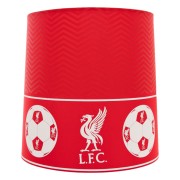 liverpool-lampskarm-tak-1