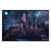 harry-potter-affisch-hogwarts-299-1