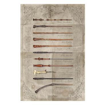 Harry Potter Affisch Wands 161