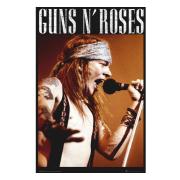 Guns N Roses Affisch Axel 167