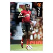 Manchester United Affisch Pogba 49