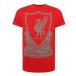 Liverpool T-shirt Sign