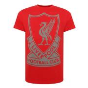 liverpool-t-shirt-sign-1