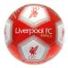 Liverpool Fotboll Signature 2