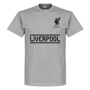 Liverpool T-shirt Team Grå