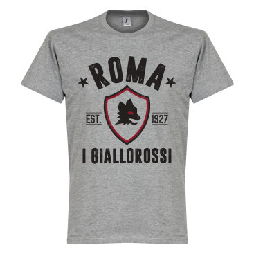 Roma T-shirt Established Grå