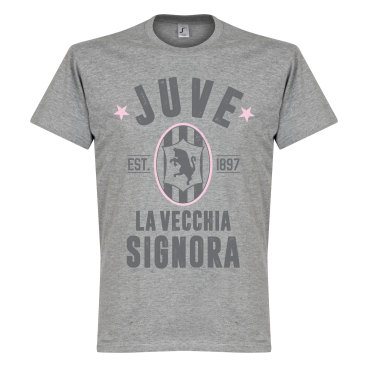 Juventus T-shirt Juve Established Grå