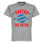 Bayern München T-shirt Bayern Established Grå