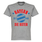bayern-manchen-t-shirt-bayern-established-graa-1
