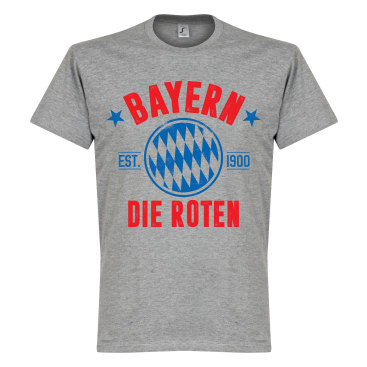 Bayern München T-shirt Bayern Established Grå