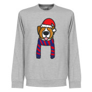 barcelona-troja-christmas-dog-supporters-gra-1
