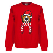 liverpool-traoja-christmas-dog-sweatshirt-raod-1