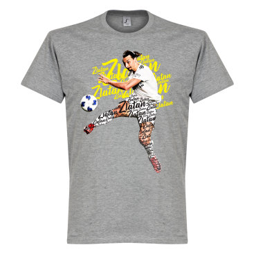 La Galaxy T-shirt Zlatan Script Zlatan Ibrahimovic Grå