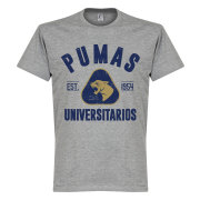 Pumas T-shirt Established Grå