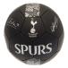 Tottenham Hotspur Fotboll Signature Ph