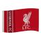 Liverpool Flagga Wm