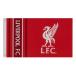 Liverpool Flagga Wm