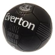 Everton Fotboll