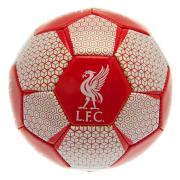 Liverpool Teknikboll Vt