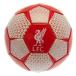 Liverpool Teknikboll Vt