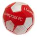 Liverpool Teknikboll Vt