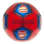 Arsenal Teknikboll Signature