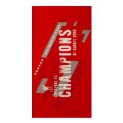 liverpool-badlakan-champions-of-europe--1