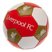 liverpool-fotboll-3-1