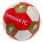 Liverpool Fotboll 3