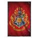 Harry Potter Poster Hogwarts