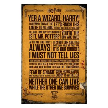 Harry Potter Poster Quotes 263