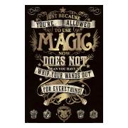 harry-potter-affisch-magic-282-1