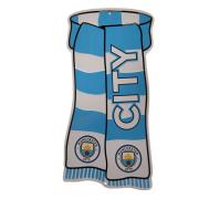 Manchester City Skylt Show Your Colours