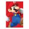 Super Mario Affisch 221