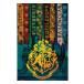 Harry Potter Affisch House Flags