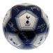 Tottenham Teknikboll Signature