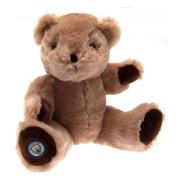 manchester-city-teddybjorn-george-1