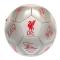 Liverpool Fotboll Signature Sv