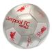 Liverpool Fotboll Signature Sv