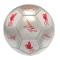 Liverpool Fotboll Signature Sv