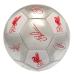 Liverpool Fotboll Signature Sv