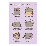 pusheen-poster-reasons-1