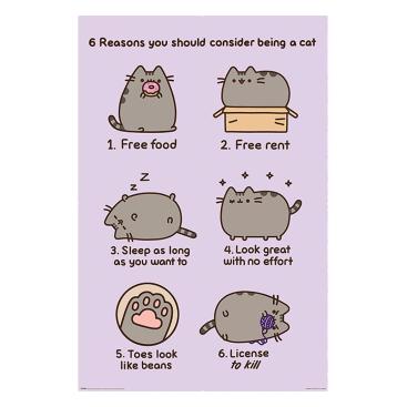 Pusheen Poster Reasons