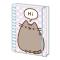 Pusheen Anteckningsblock Hi