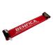 Benfica Scarf