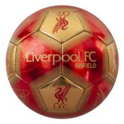 Liverpool Teknikboll Signature