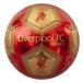 Liverpool Teknikboll Signature
