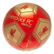 liverpool-football-signature-158246-1