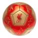 Liverpool Fotboll Signature