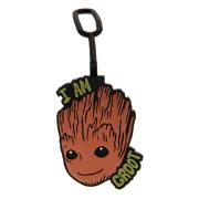 Guardians Of The Galaxy Resetagg Groot
